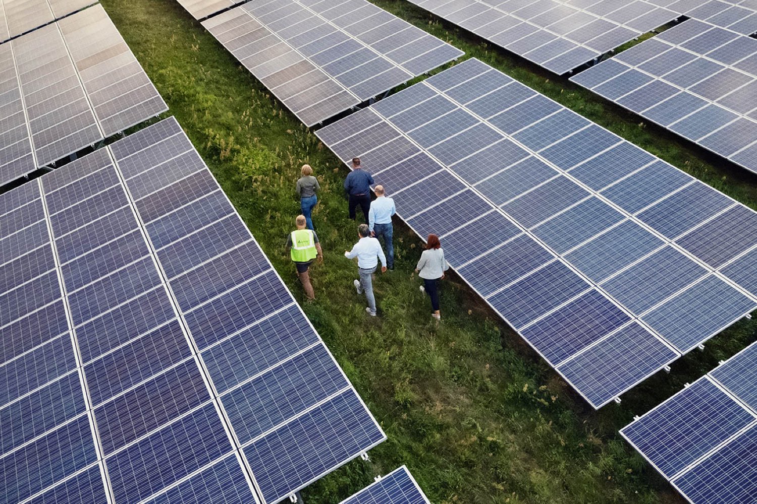 5 Personen laufen zwischen PV-Modulen entlang